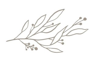 Elegant,,Botanique,Logo,Collection,,Hand,Drawn,Illustrations,Of,Flowers,,Leaves